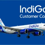 indigo customer care